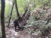 Santuário da vida silvestre Vagafogo